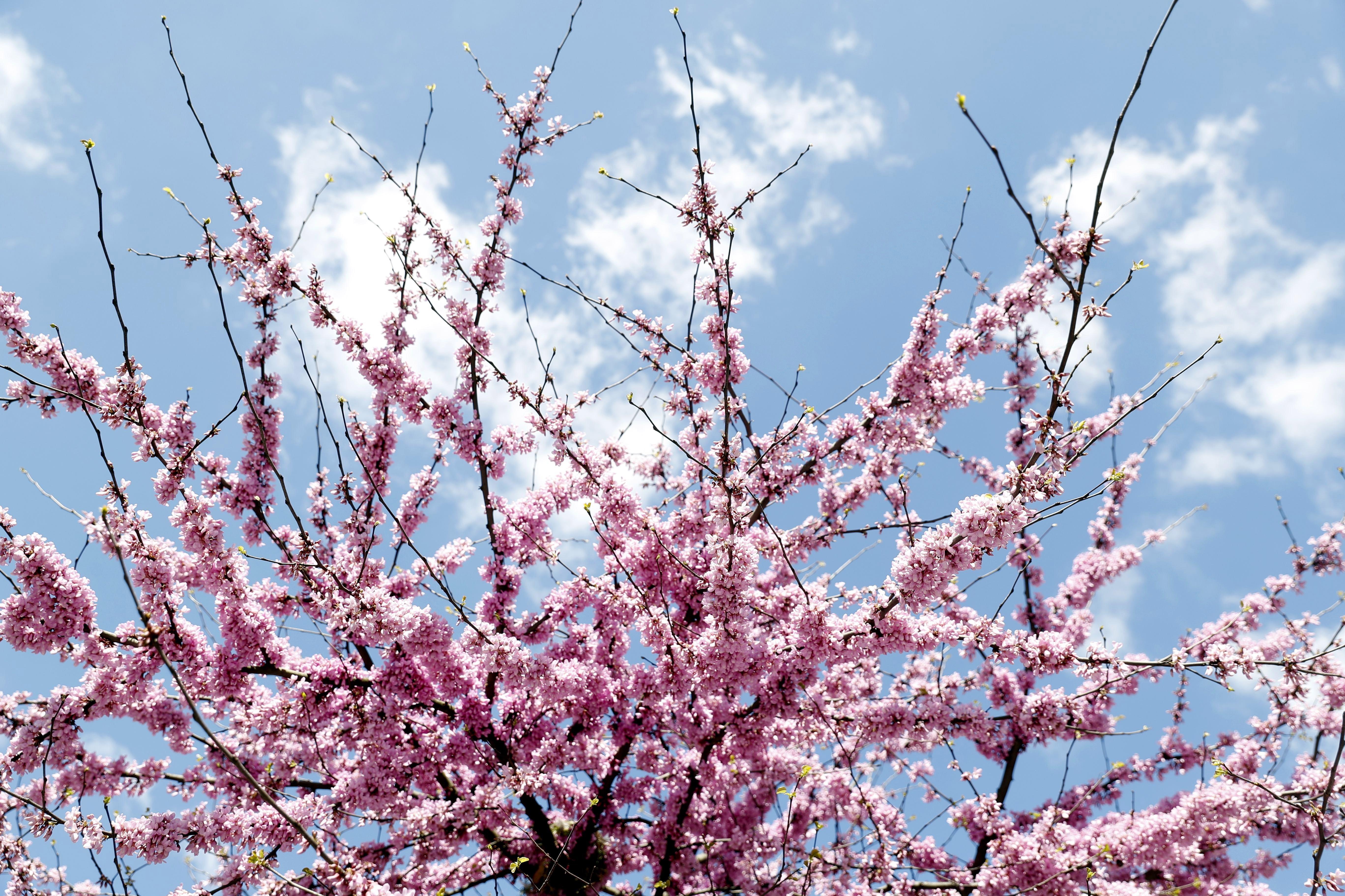 La primavera será  la más calurosa tras el invierno más seco del siglo XXI