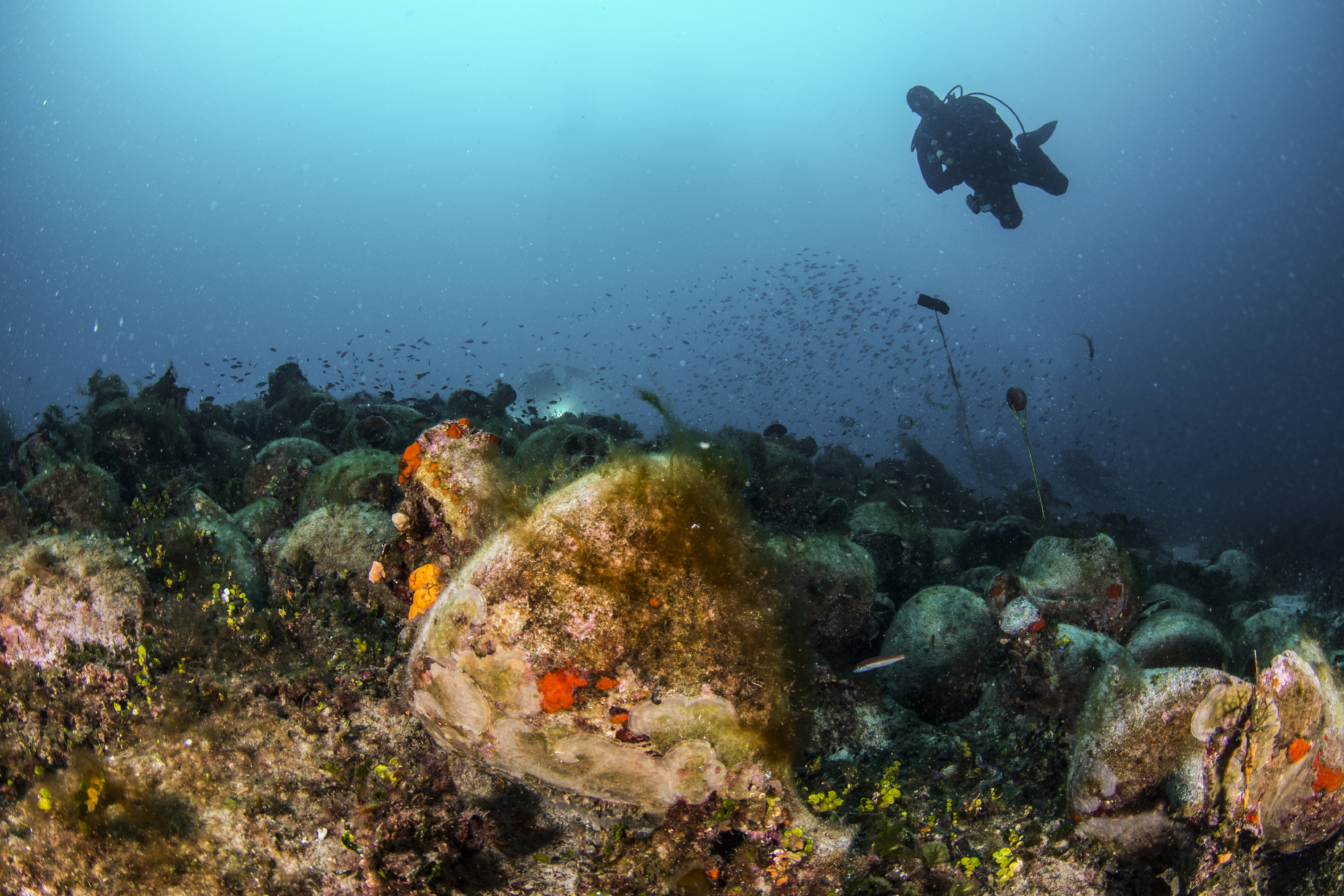 Grecia contempla abrir a visitantes sitios de arqueología submarina