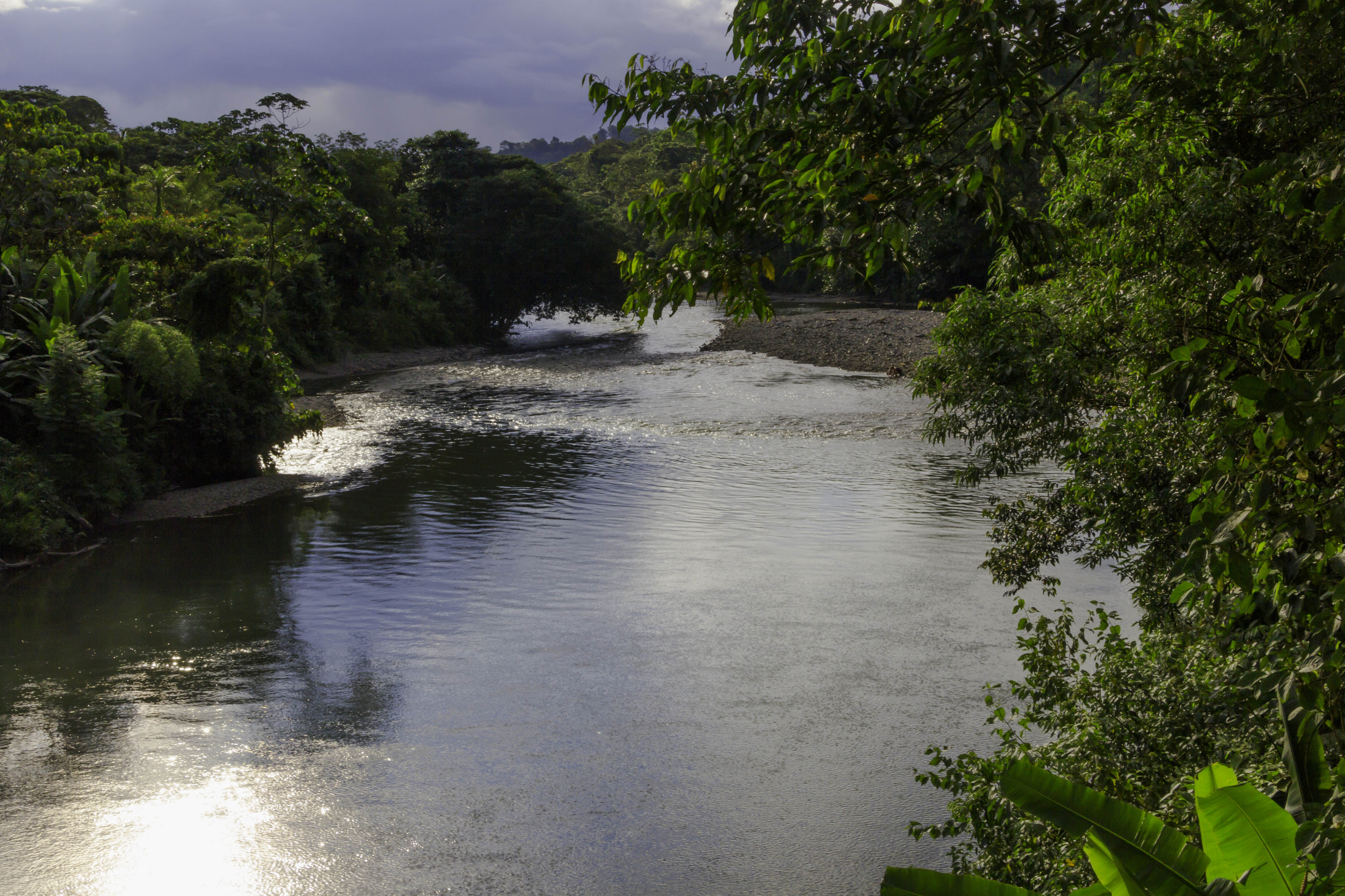 Un tercio de los mayores ríos del mundo fluye sin interferencia humana