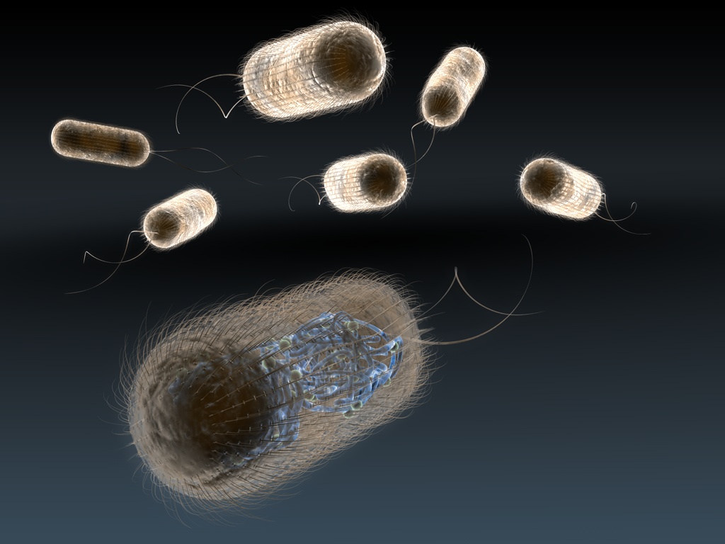 Científicos desarrollan tecnología para detectar bacterias en minutos