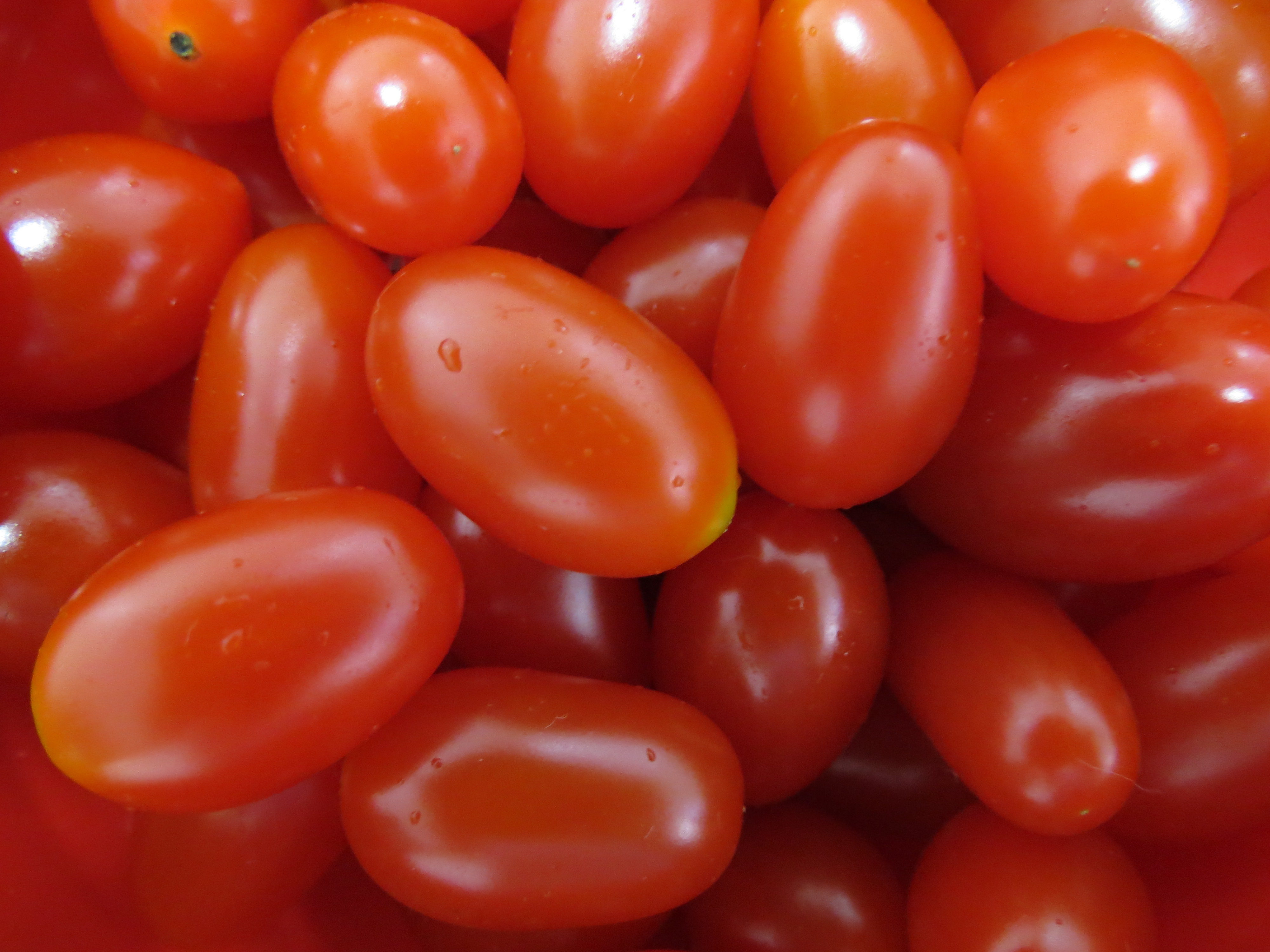 Identifican 5.000 nuevos genes en el tomate, uno esencial para el sabor