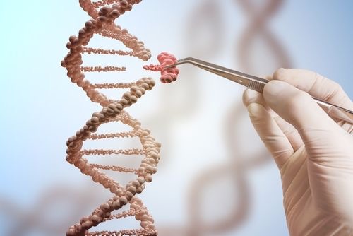 CRISPR, la tecnología empleada para la edición del ADN