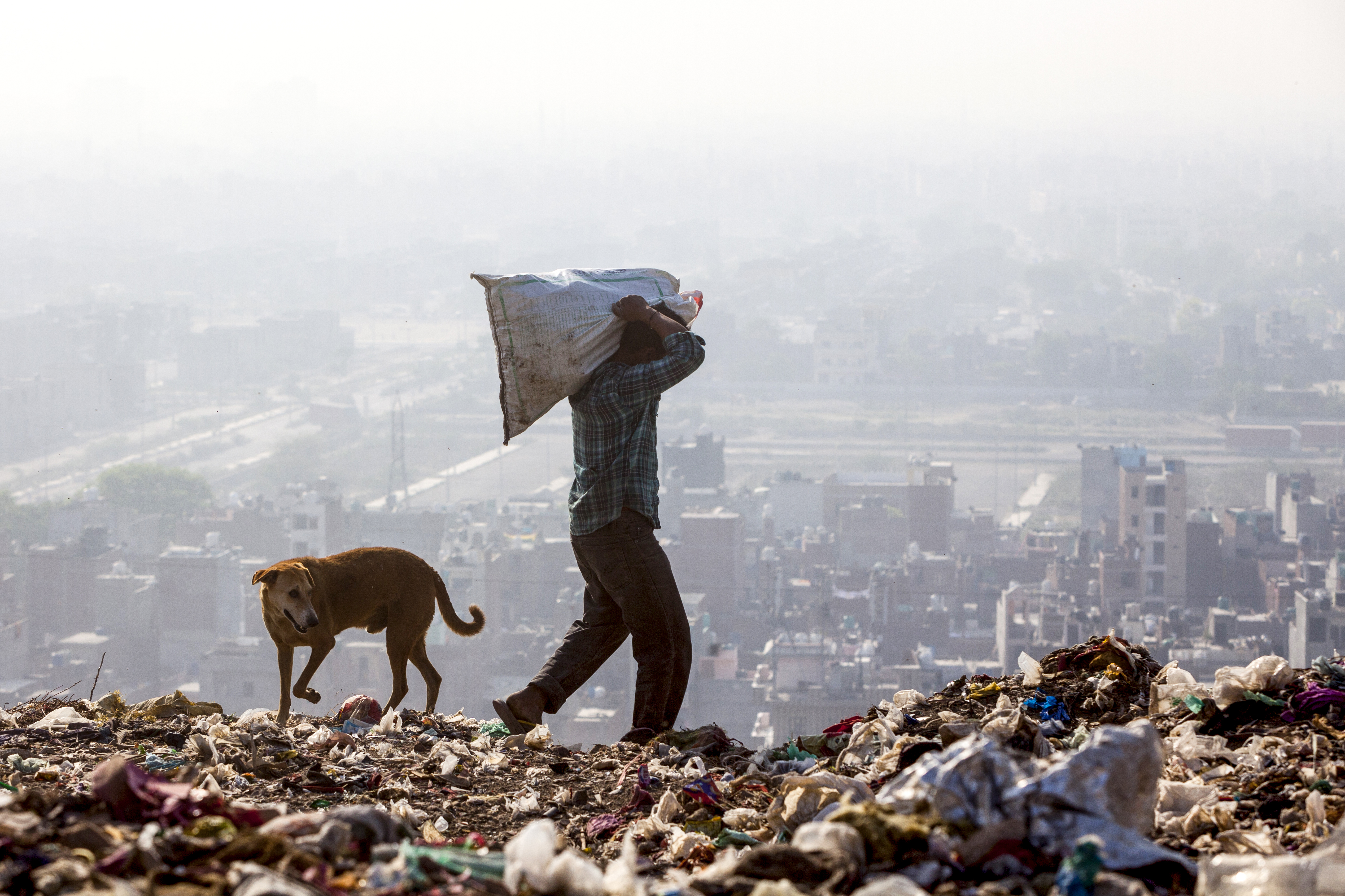 Una montaña de basura en Nueva Delhi casi tan alta como el Taj Mahal