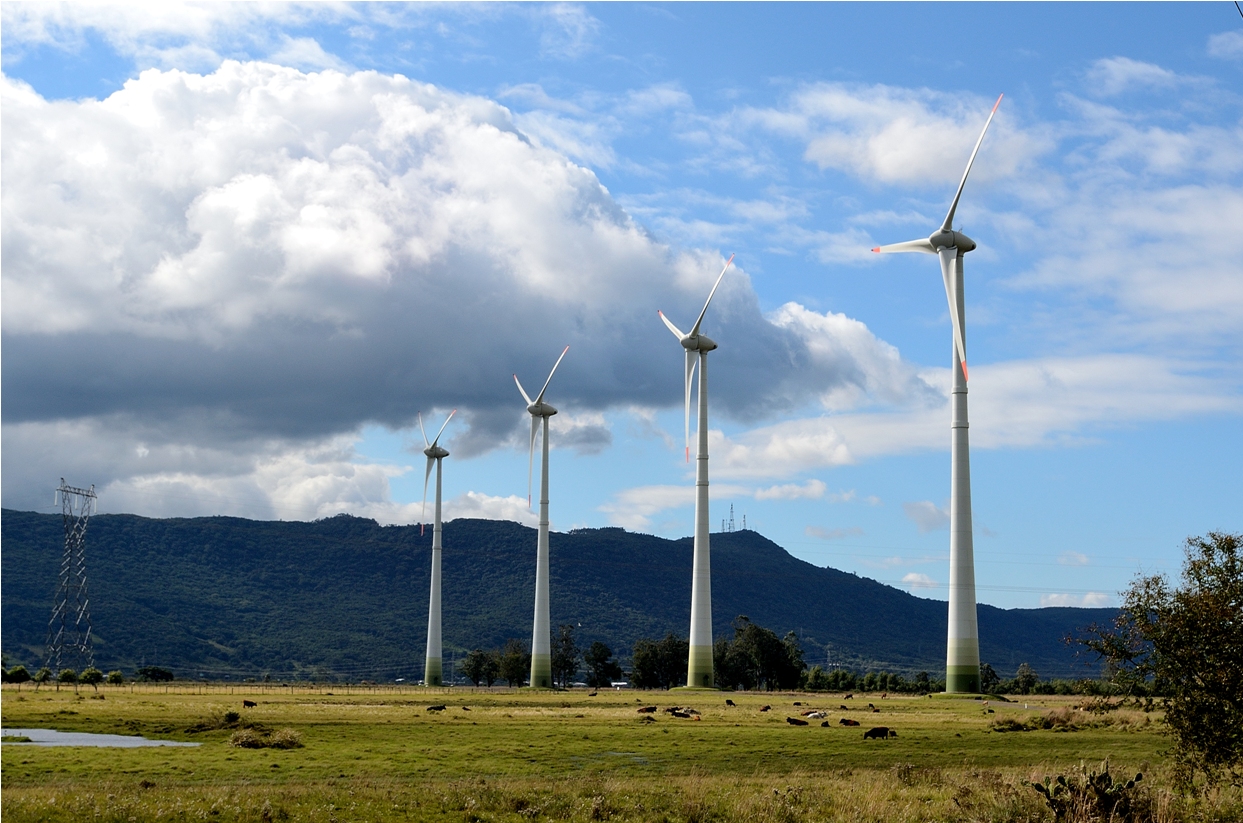 Campos eólicos en Argentina