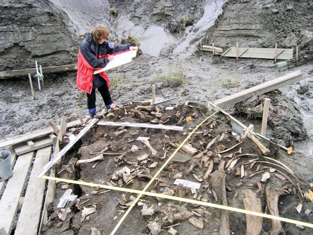 Descubren un nuevo grupo humano que vivió en Siberia en la Edad de Hielo