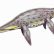 Reptil gigante hallado en la Antártida vivió poco antes de la gran extinción