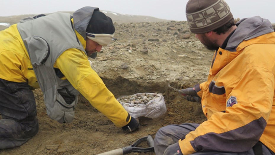 Reptil gigante hallado en la Antártida vivió poco antes de la gran extinción