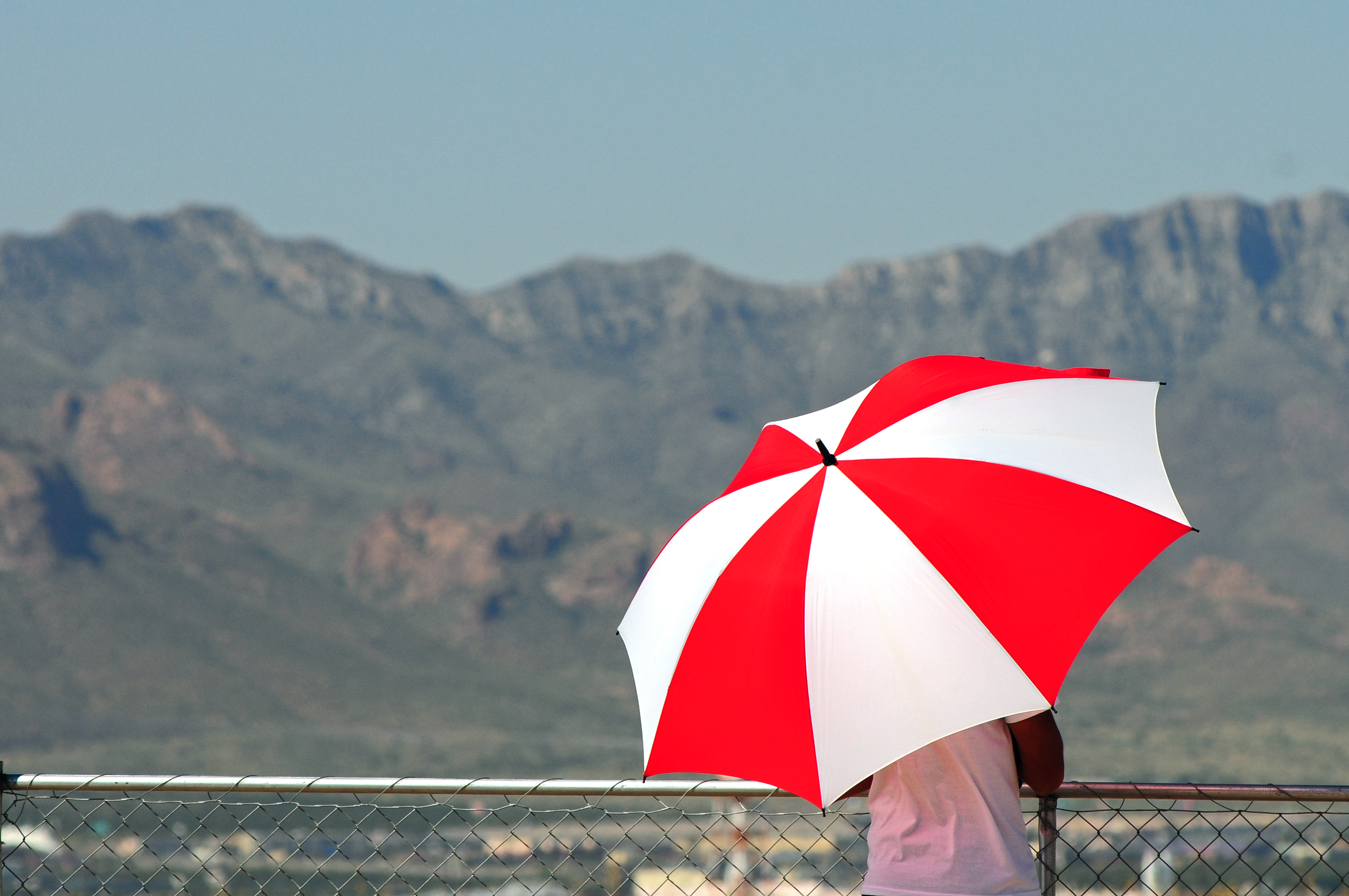 Vinculan actividad humana a la reciente e intensa ola de calor en Europa