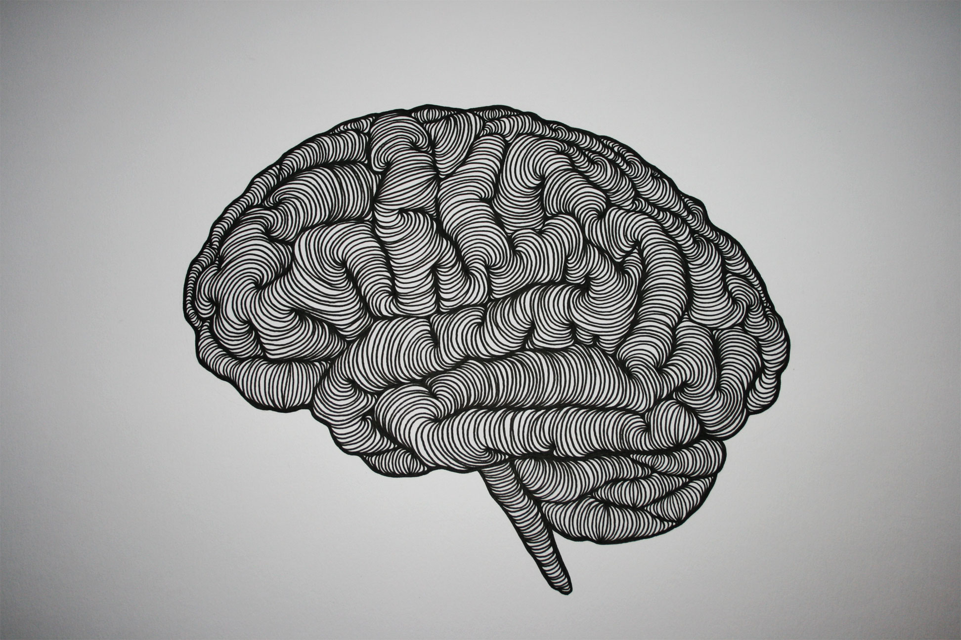 Estimulación cerebral de ultrasonido podría tratar mal de Parkinson