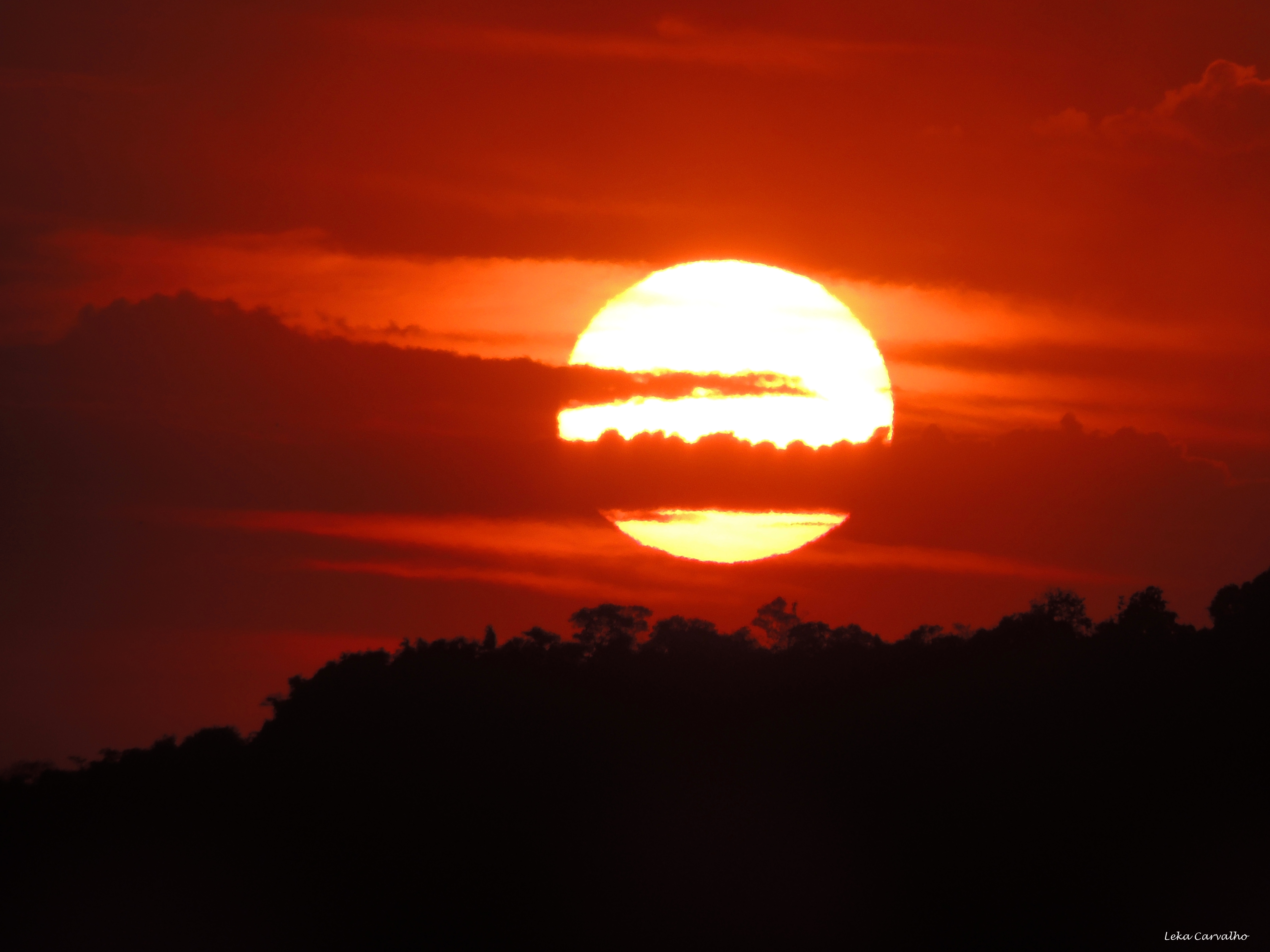 Bélgica y Países Bajos superan récords de olas de calor