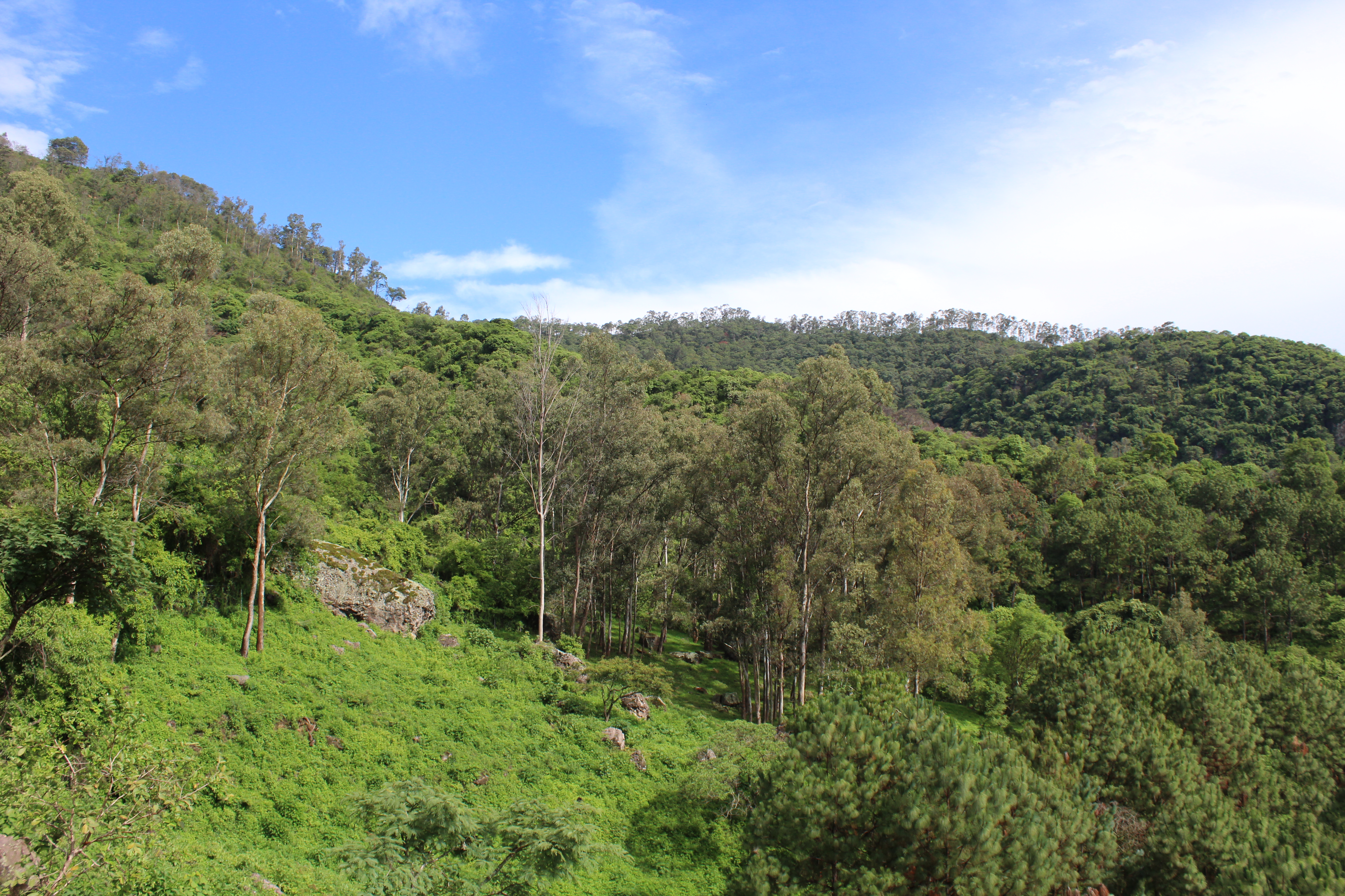 Indispensable integrar biodiversidad al desarrollo productivo mexicano