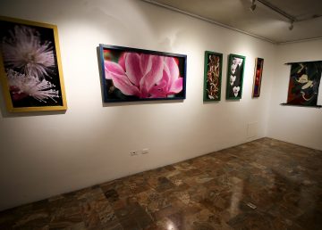 Artistas ecuatorianos exhibirán obras por la salvación de la naturaleza