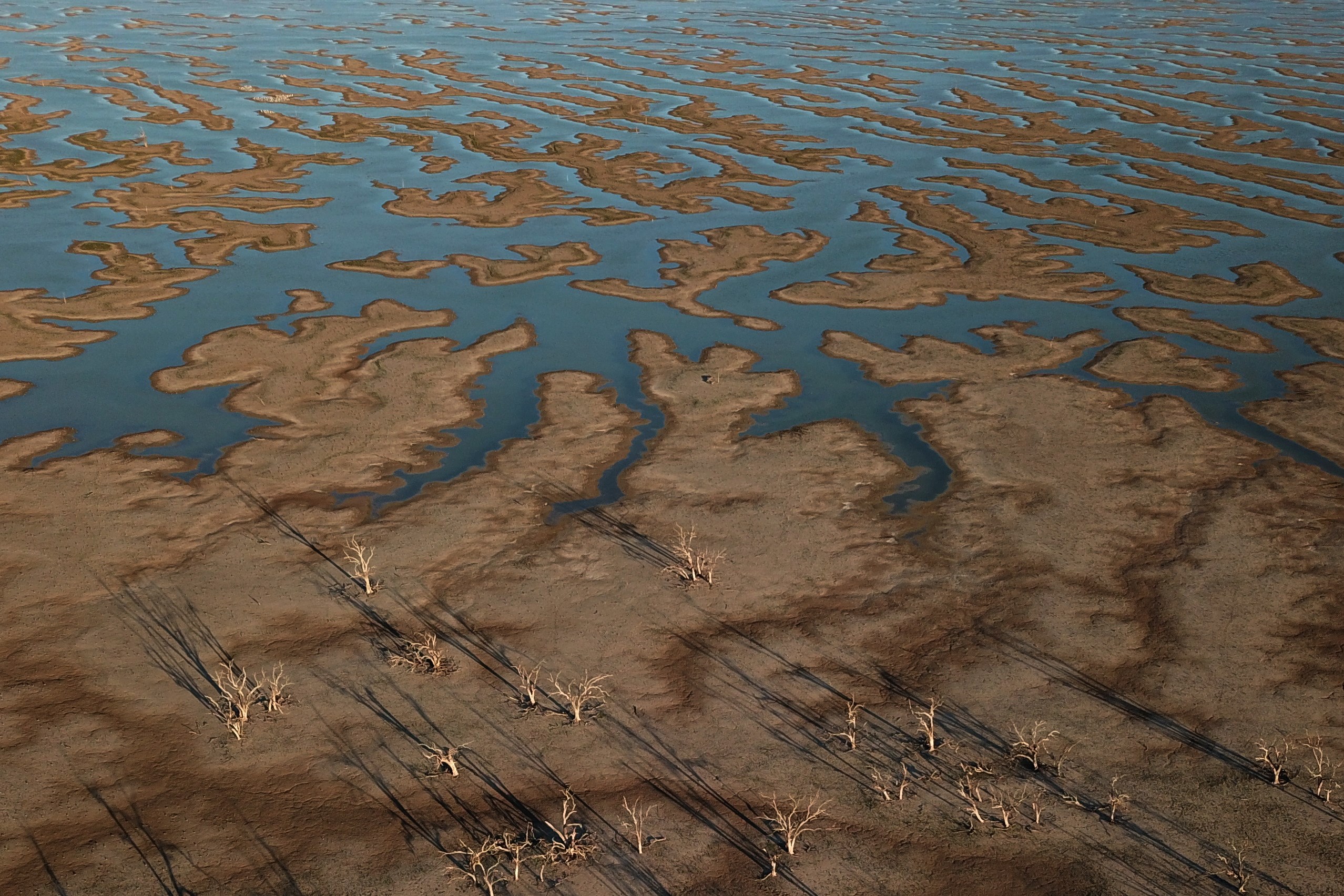 Los humanos causaron cambio significativo en el ambiente hace 300 años