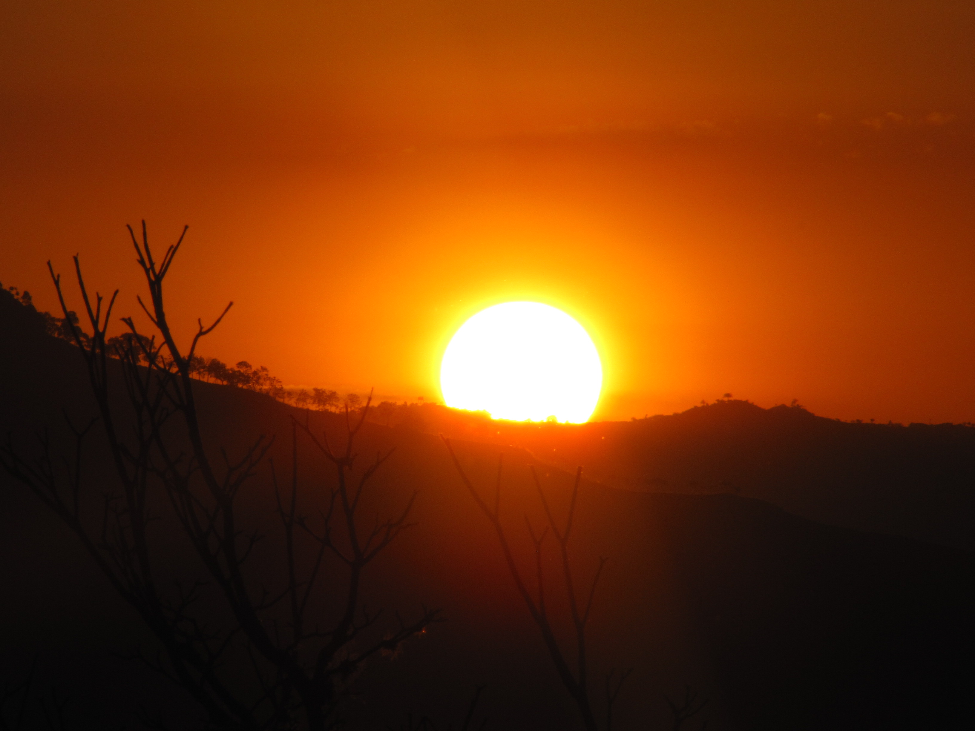 Ola de calor en Japón causa siete muertos, entre ellos una bebé