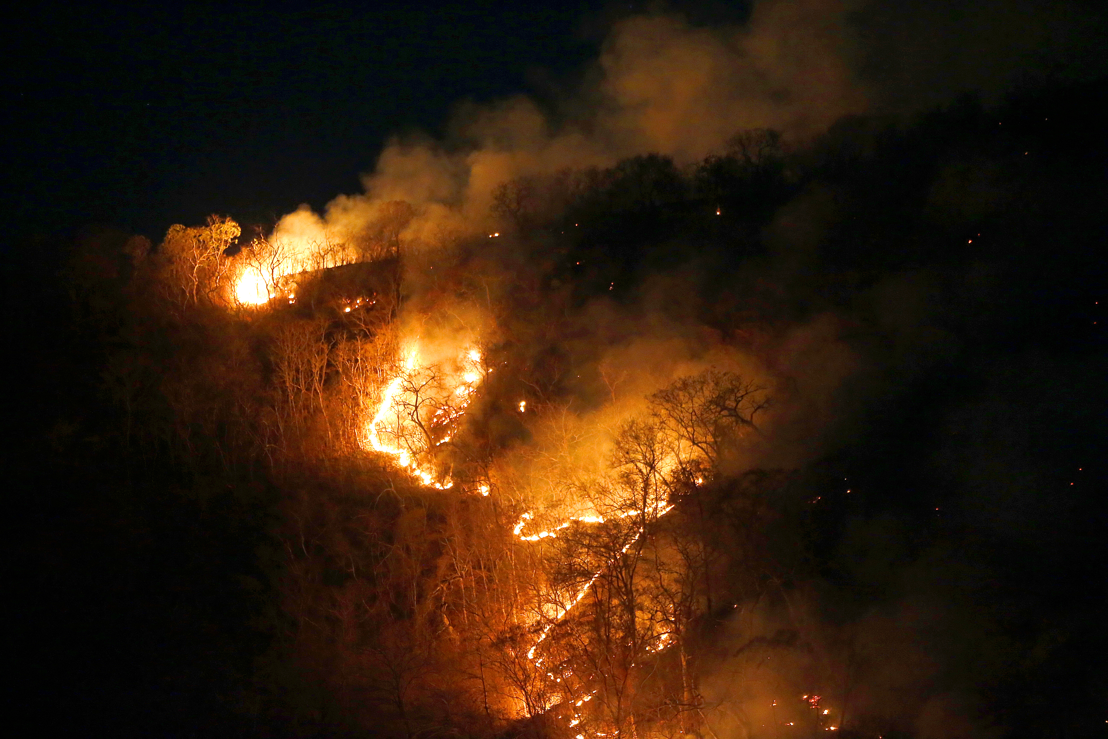 Bolivia y Paraguay acuerdan trabajo conjunto para mitigar incendios forestales