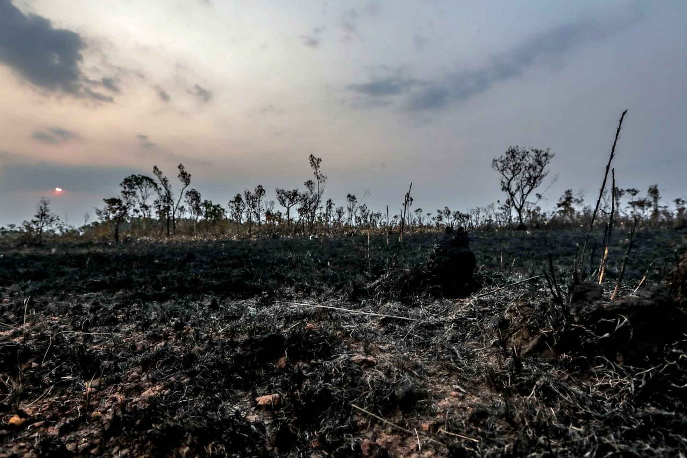 Humo de incendios en la Amazonia llega a Uruguay