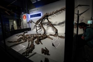 JAPAN-SCIENCE-DINOSAURS