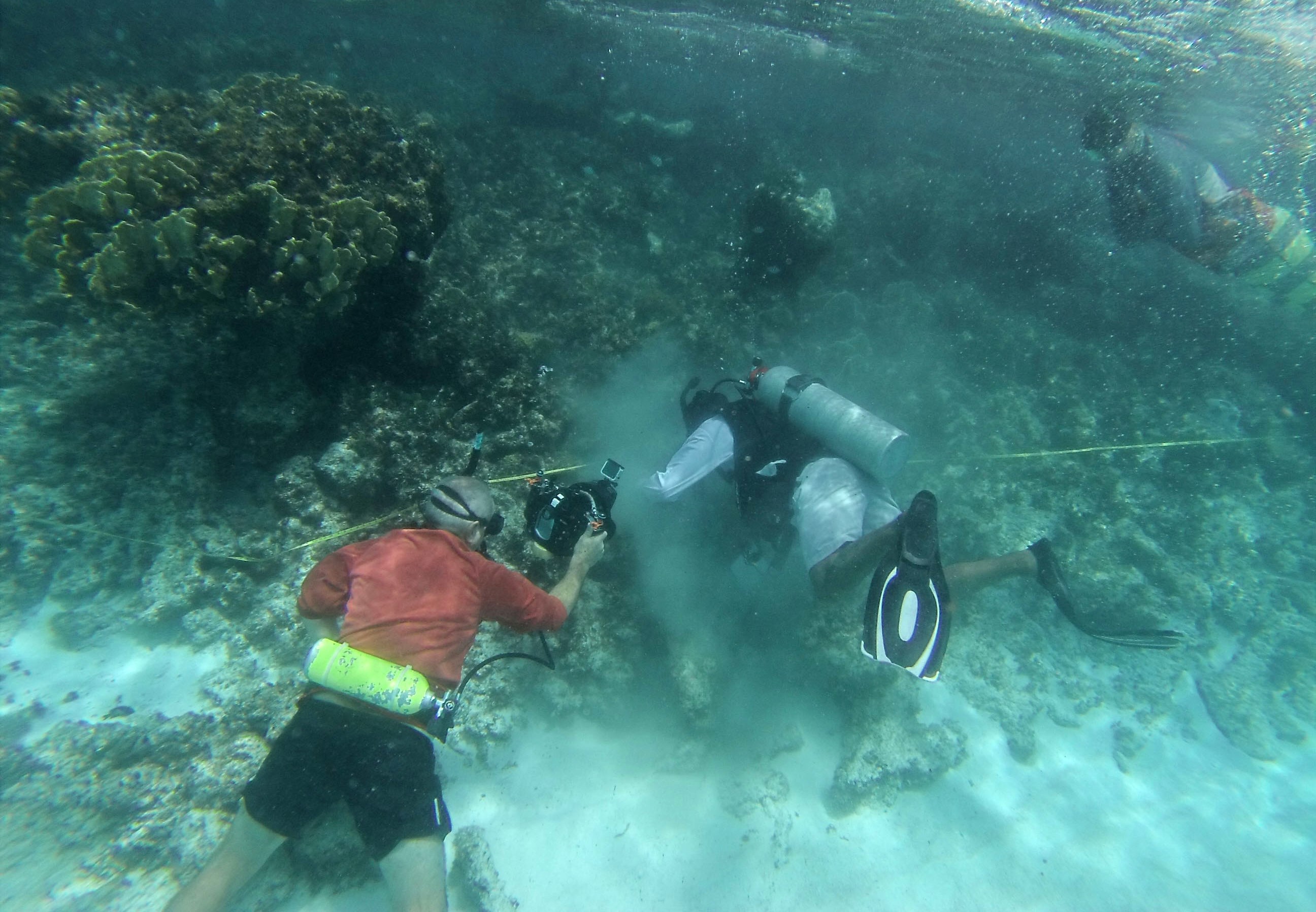 Una expedición australianoescocesa explora el mar de Coral