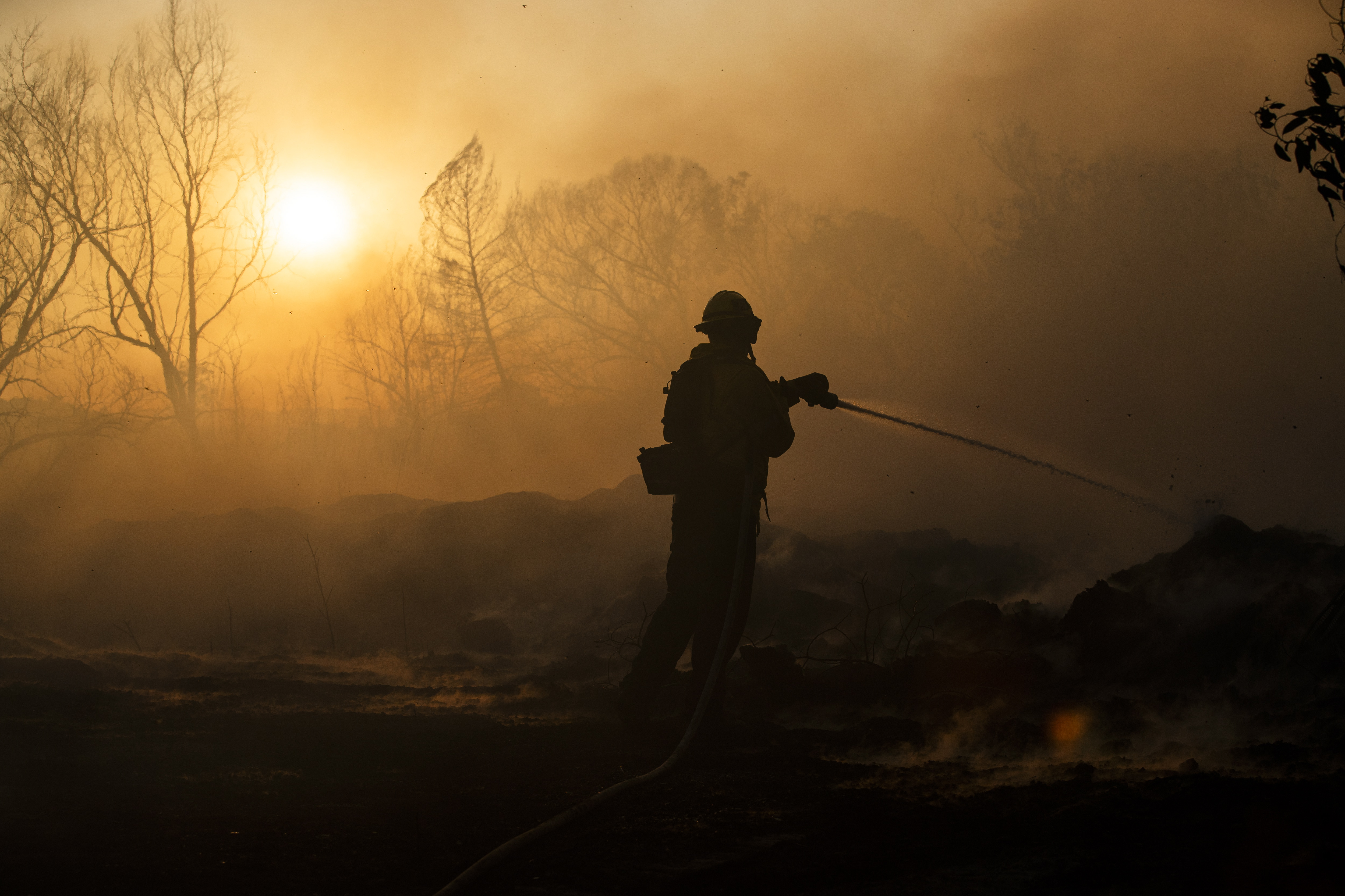 California presenta un gel que ayudará a prevenir incendios forestales