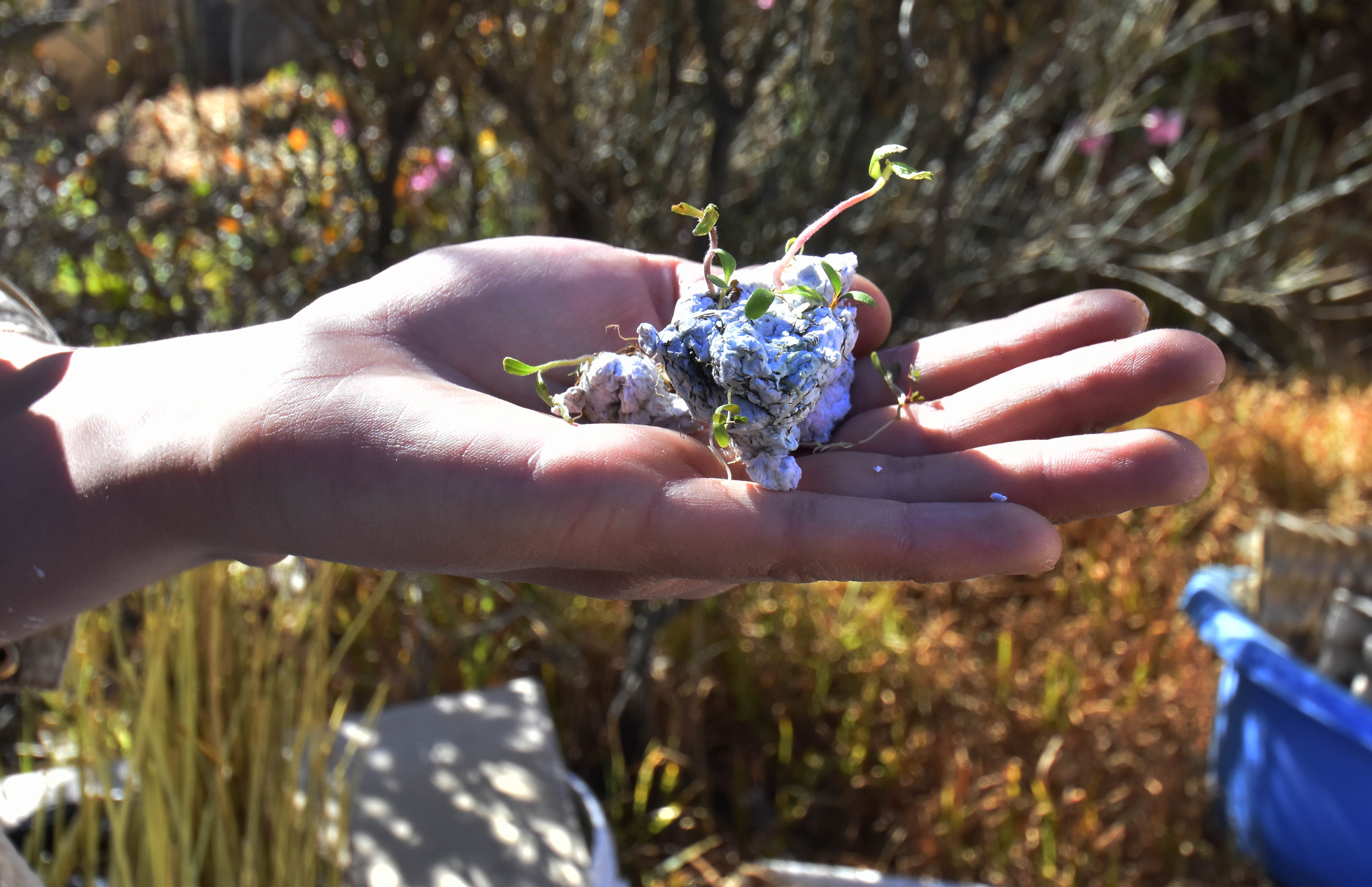 Plantar papel reciclado para cosechar flores frescas