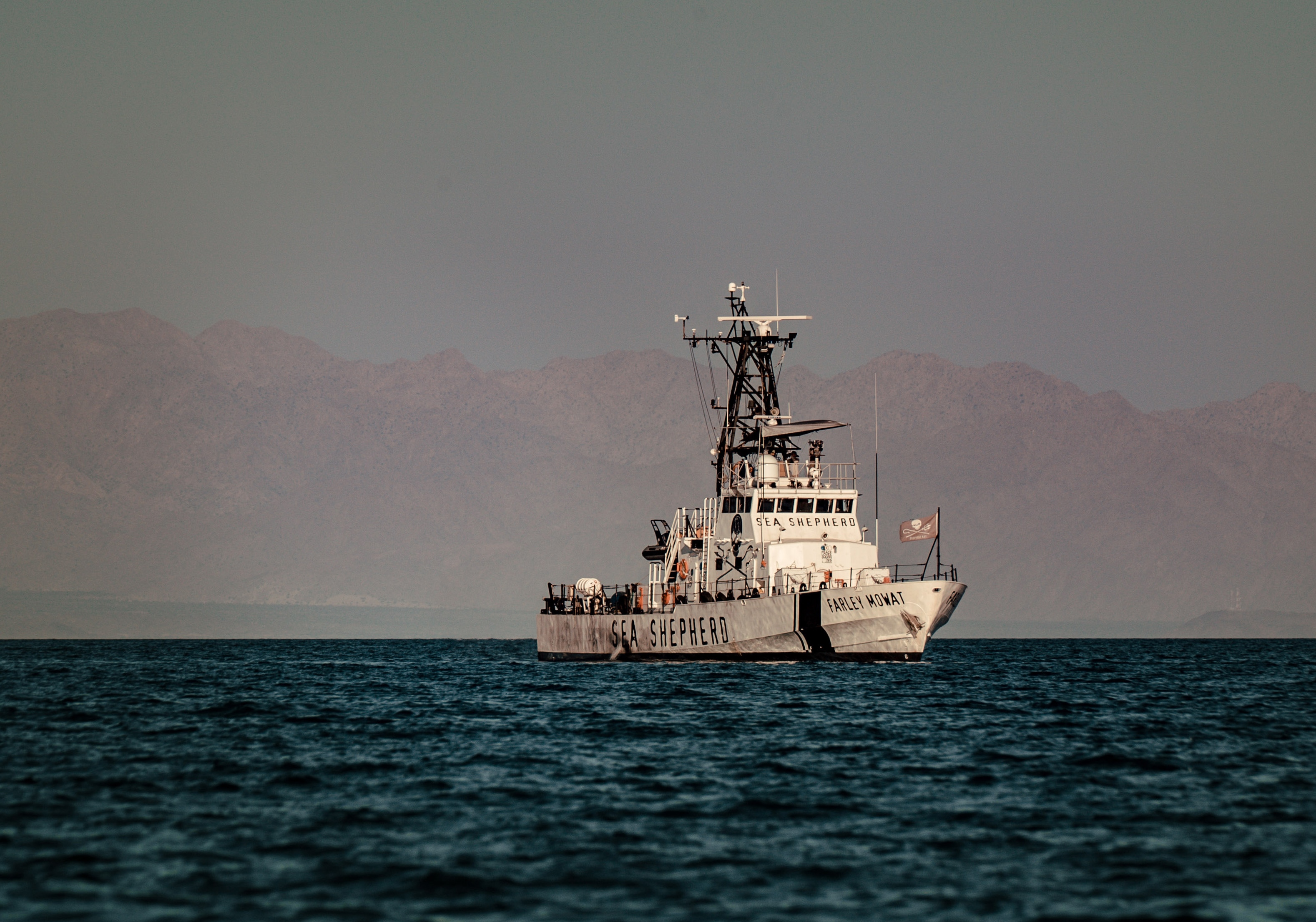 Denuncian presencia de barcas de pesca en zona de protección de vaquita marina en México