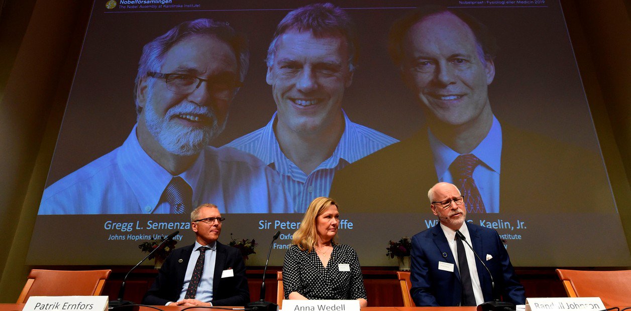 Premio Nobel de Medicina 2019; para investigación celular sobre el cáncer