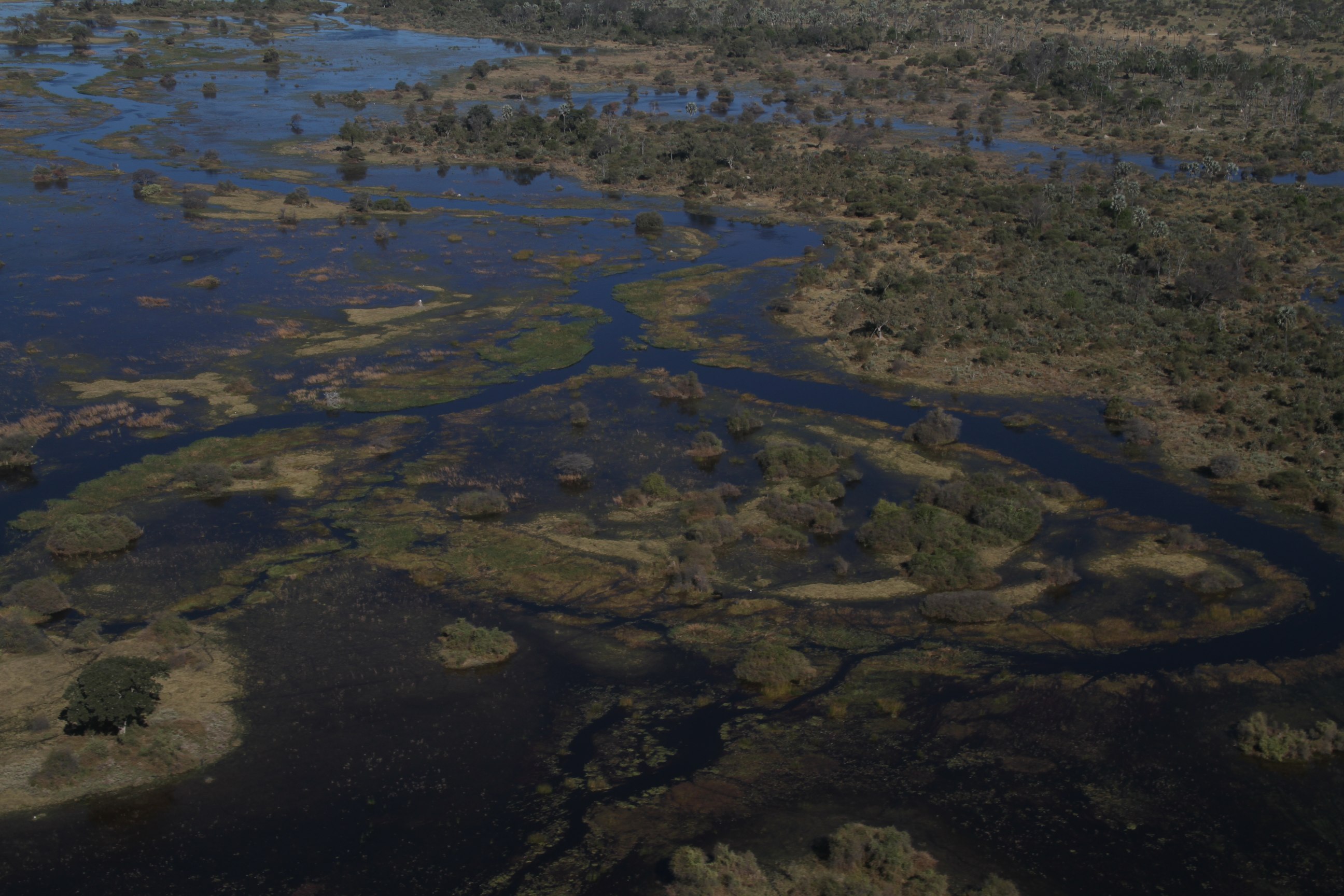 Científicos identifican el norte de Botsuana, como el hogar ancestral del hombre moderno