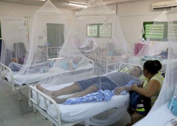 Suben casos de dengue en Paraguay, que se prepara para posible grave epidemia