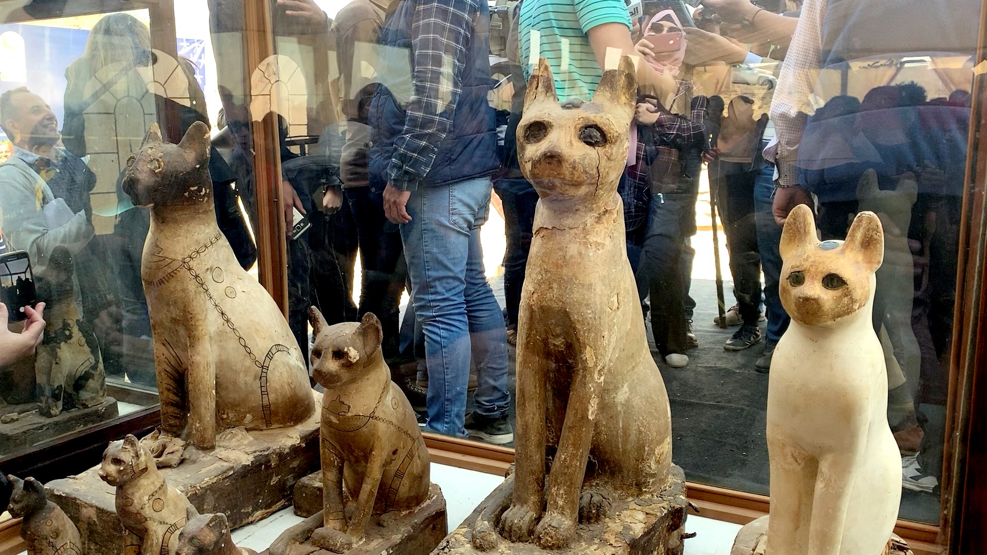 Egipto presenta momias de animales, en Saqqara