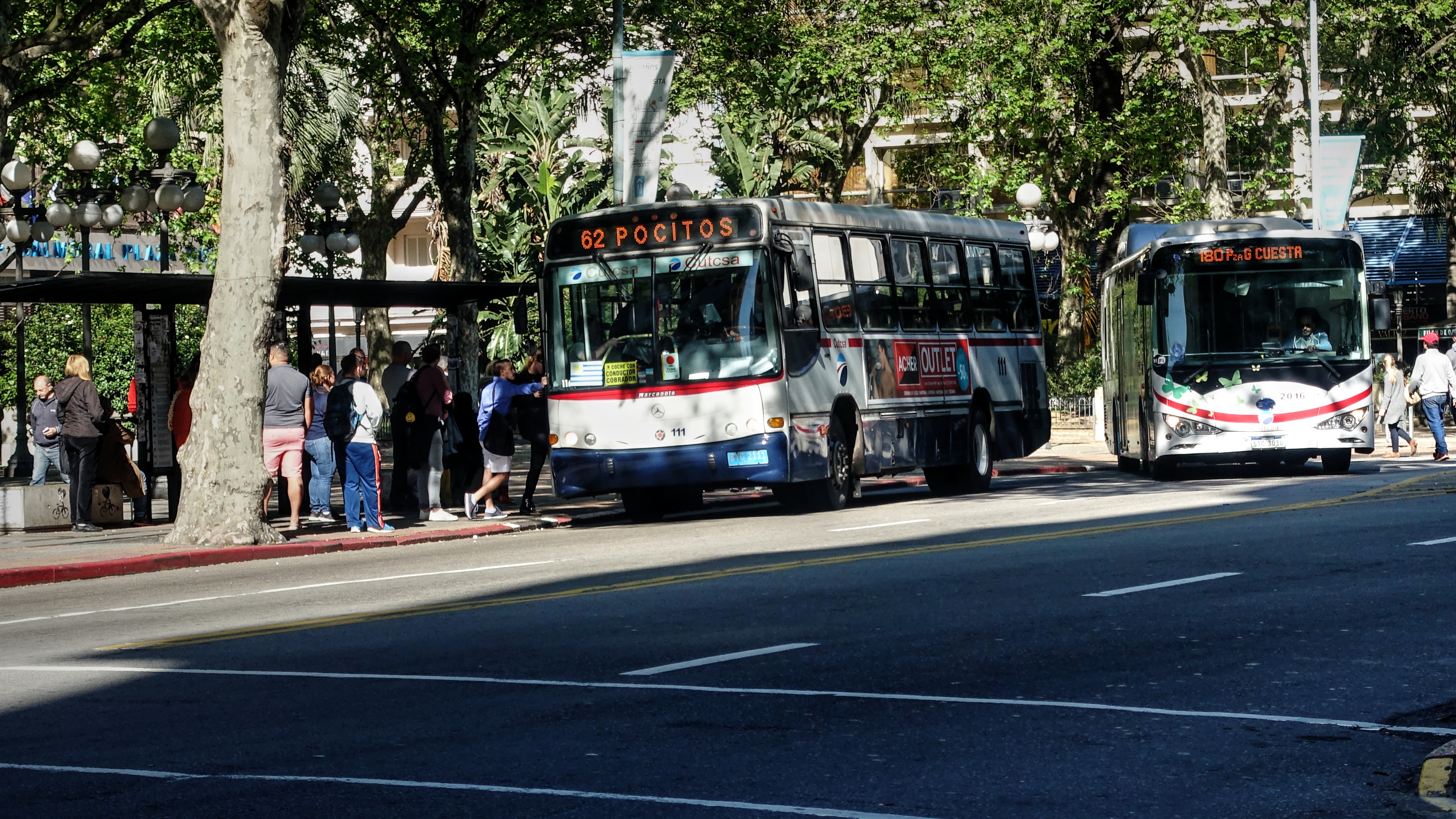 Transporte público gratis, 600.000 árboles y más reciclaje para reducir huella ecológica de Eurocopa