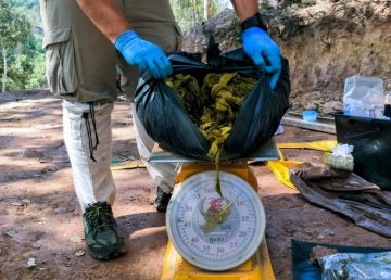 Hallado ciervo muerto en Tailandia con siete kilos de plástico en el estómago