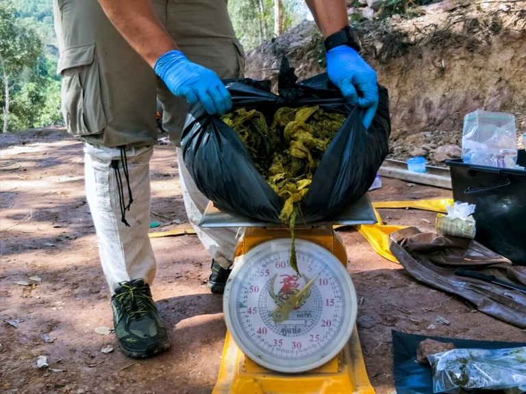 Hallado ciervo muerto en Tailandia con siete kilos de plástico en el estómago