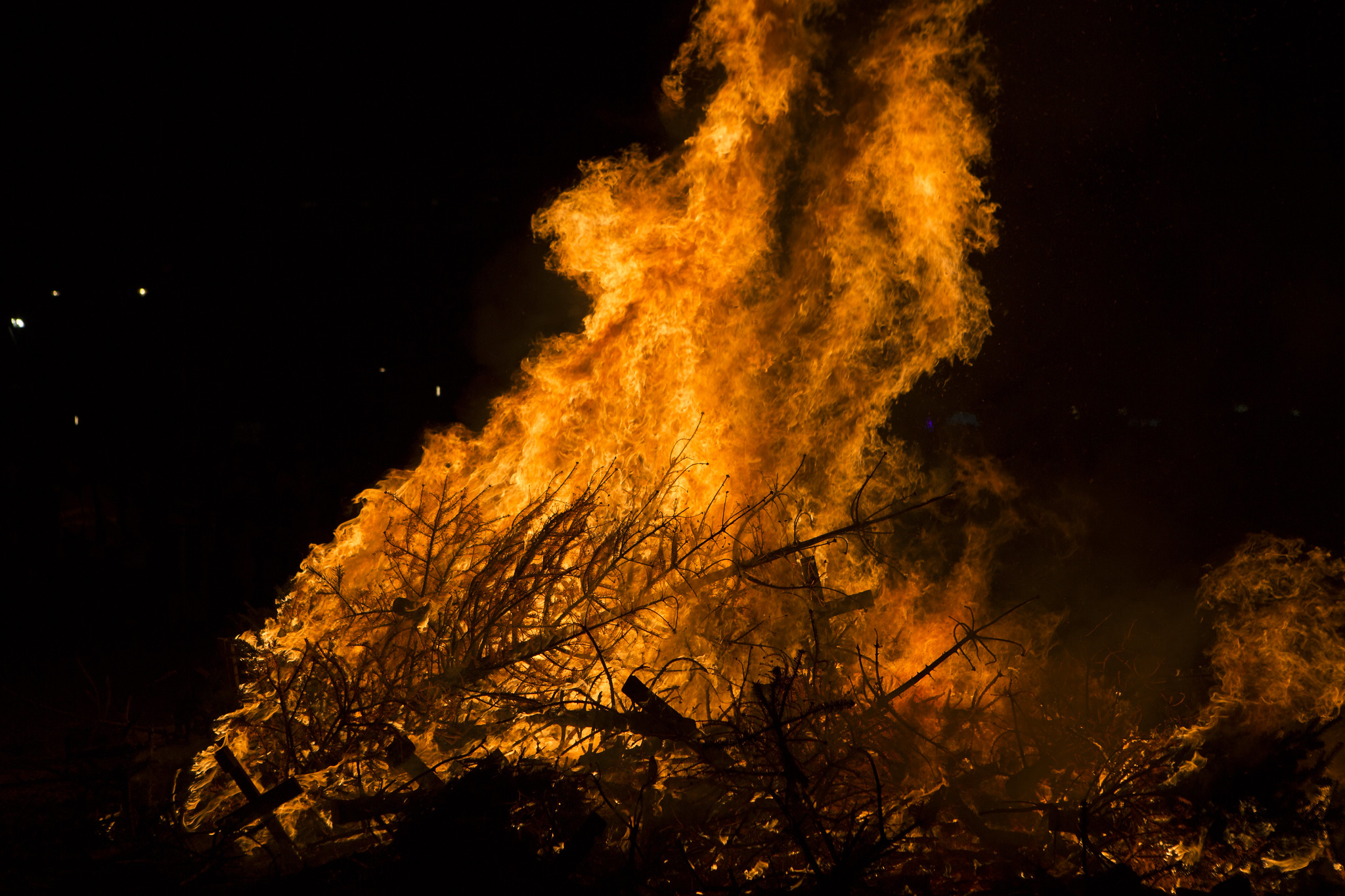 Incendios en región chilena consumen más de 1.200 hectáreas