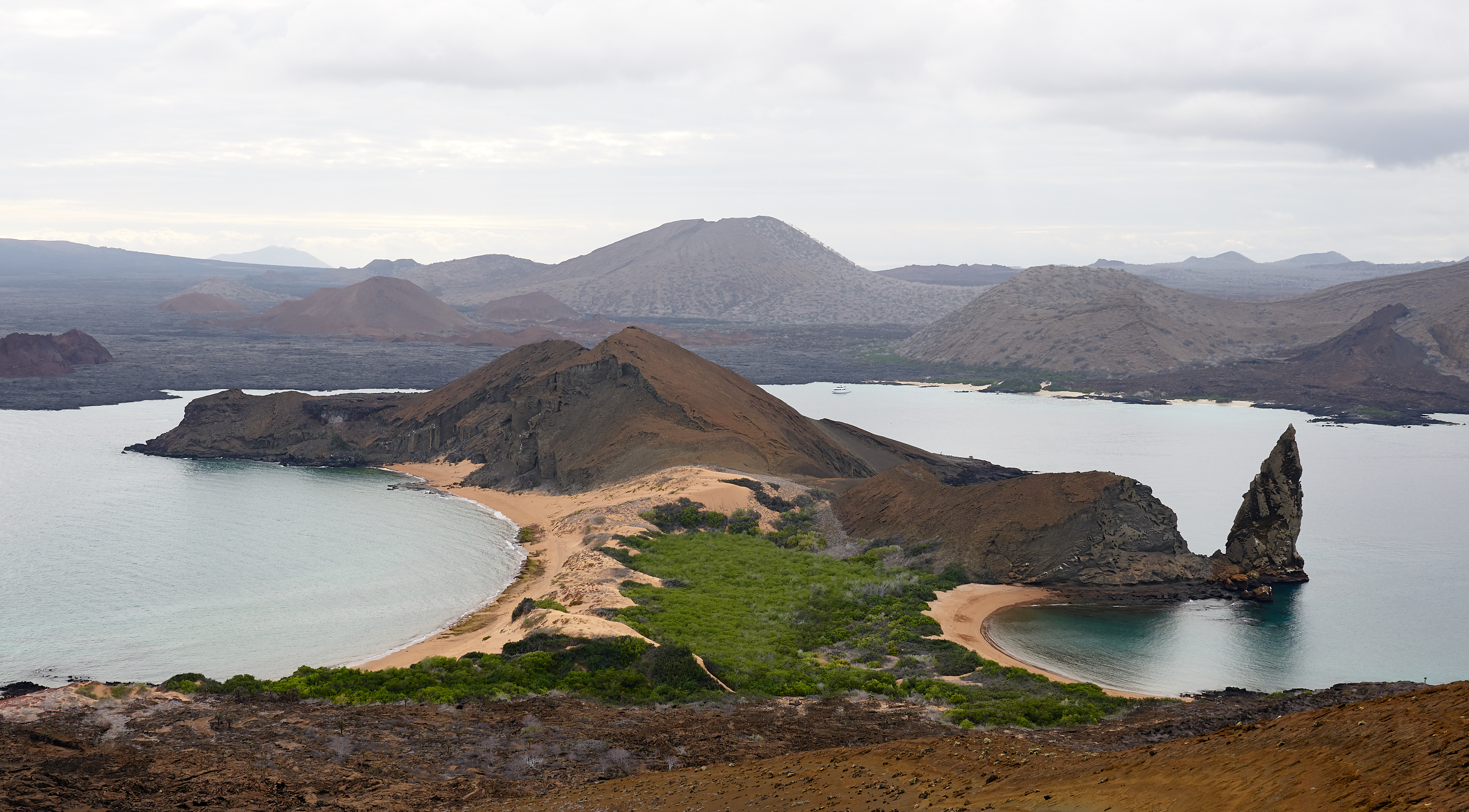 Galápagos se deshace de «cinco pisos» de neumáticos