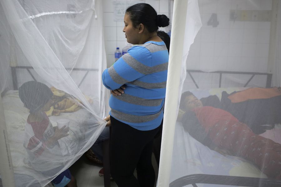 Honduras cerrará el año con 177 fallecidos por dengue