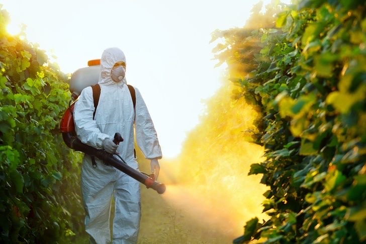 Francia retira permisos de venta a 36 herbicidas a base de glifosato