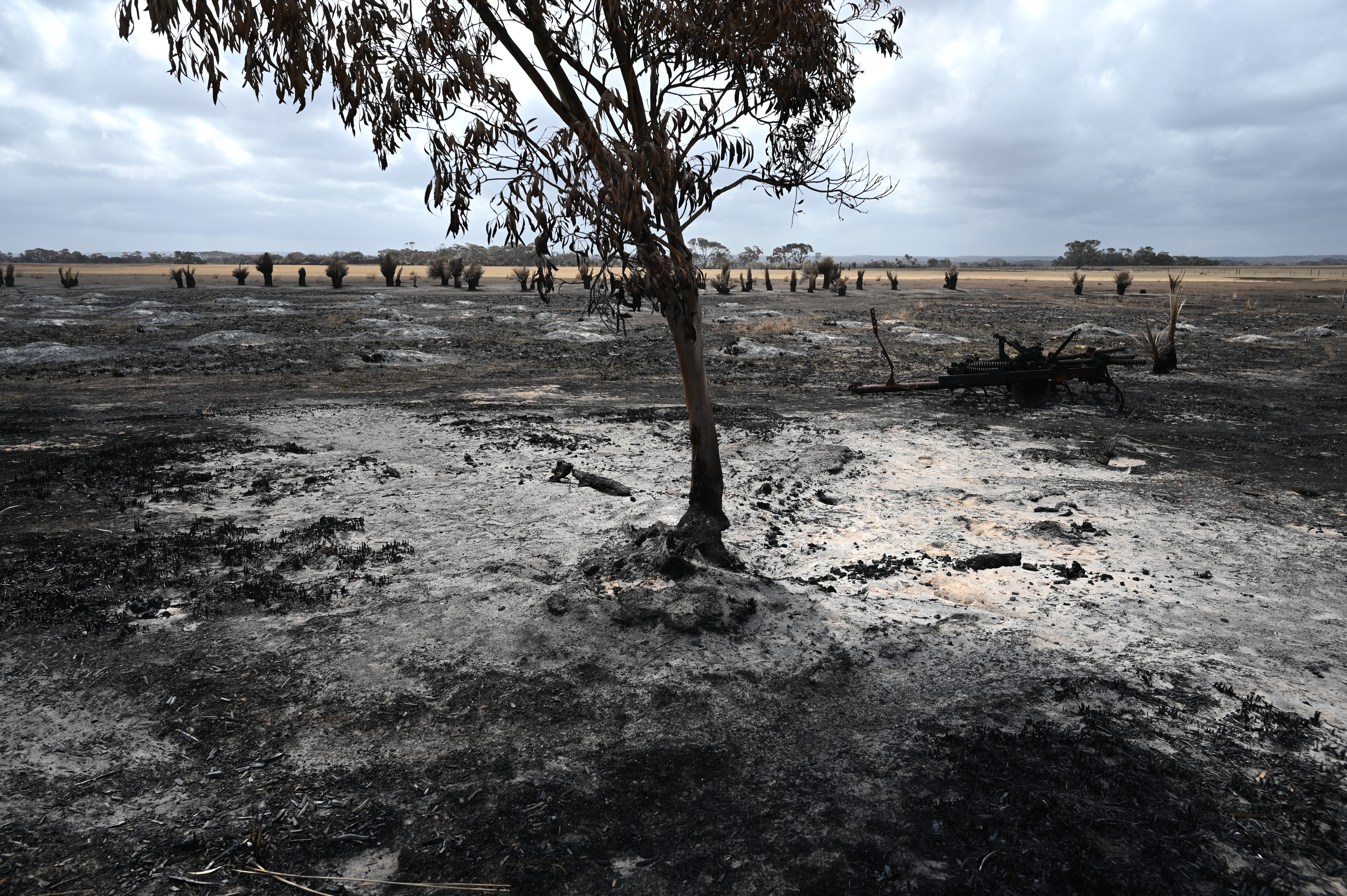 Las tormentas extinguen los incendios del este de Australia