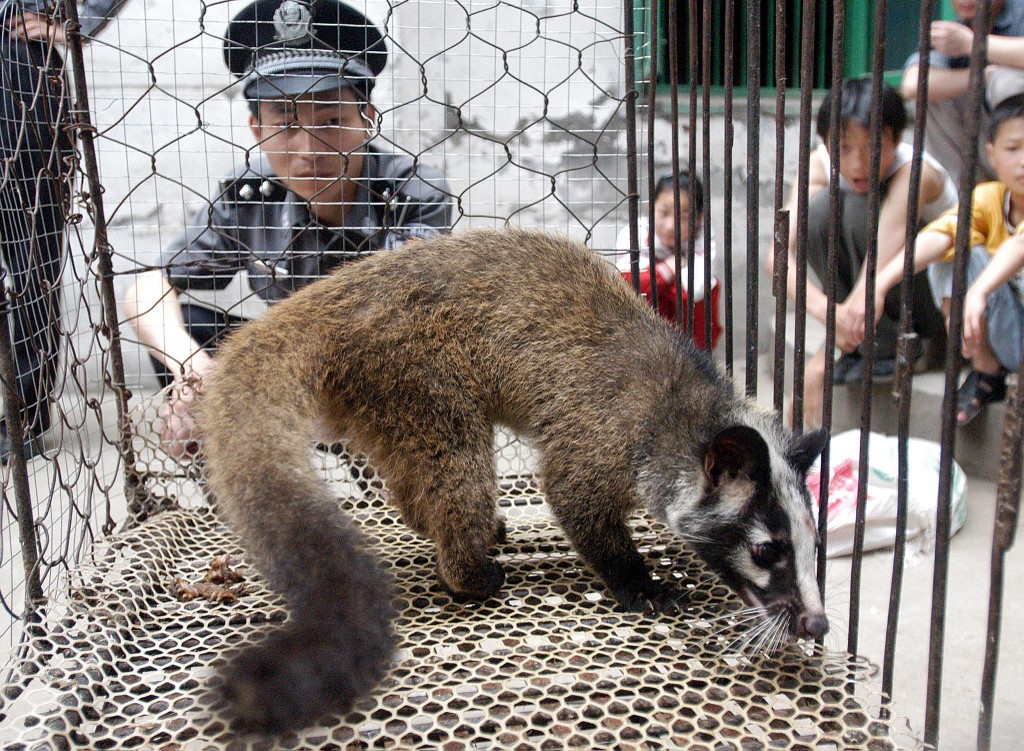 El comercio de animales salvajes aumenta el riesgo de epidemias