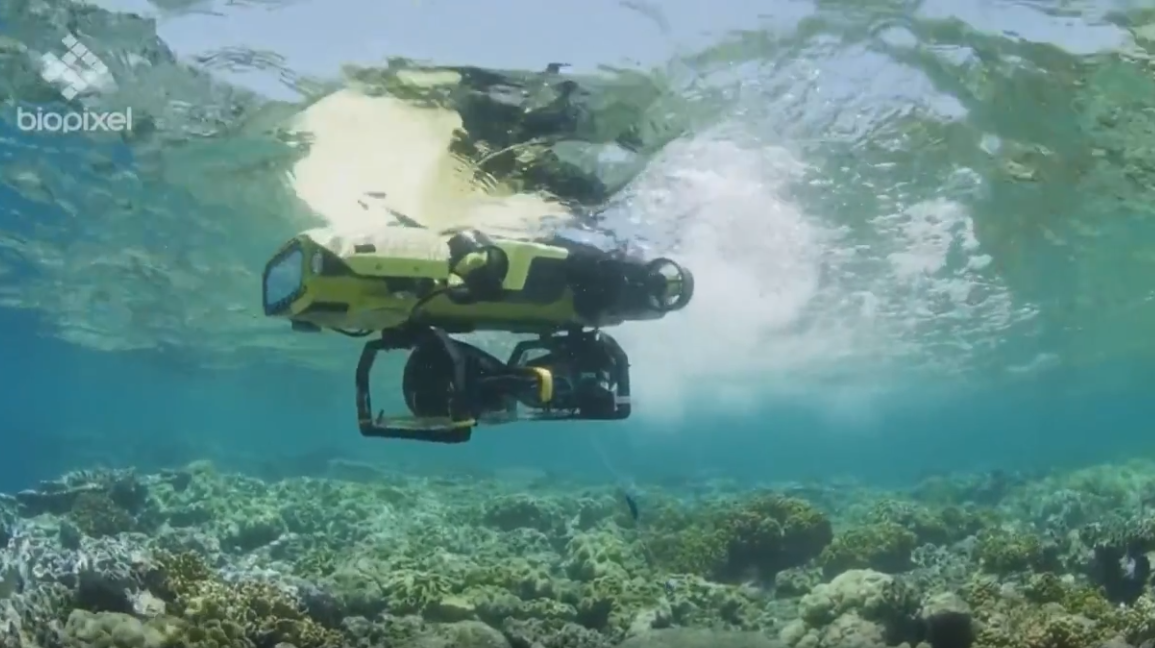 Robots acuáticos con la misión de salvar a los corales australianos