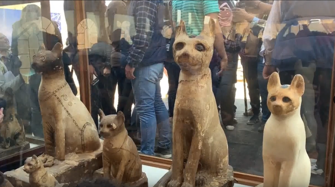 Cementerio para animales de la antigüedad: encuentran momias de felinos, aves y cocodrilos