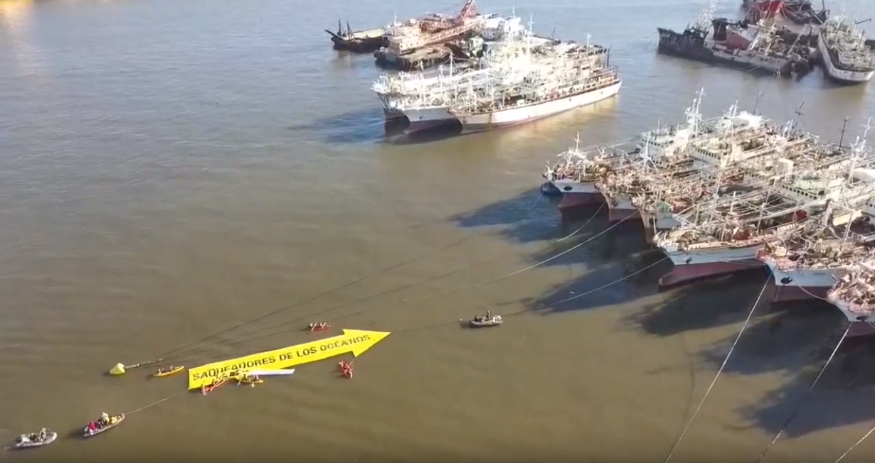 “Saqueadores de océanos”, acusan activistas de Greenpeace a barcos extranjeros