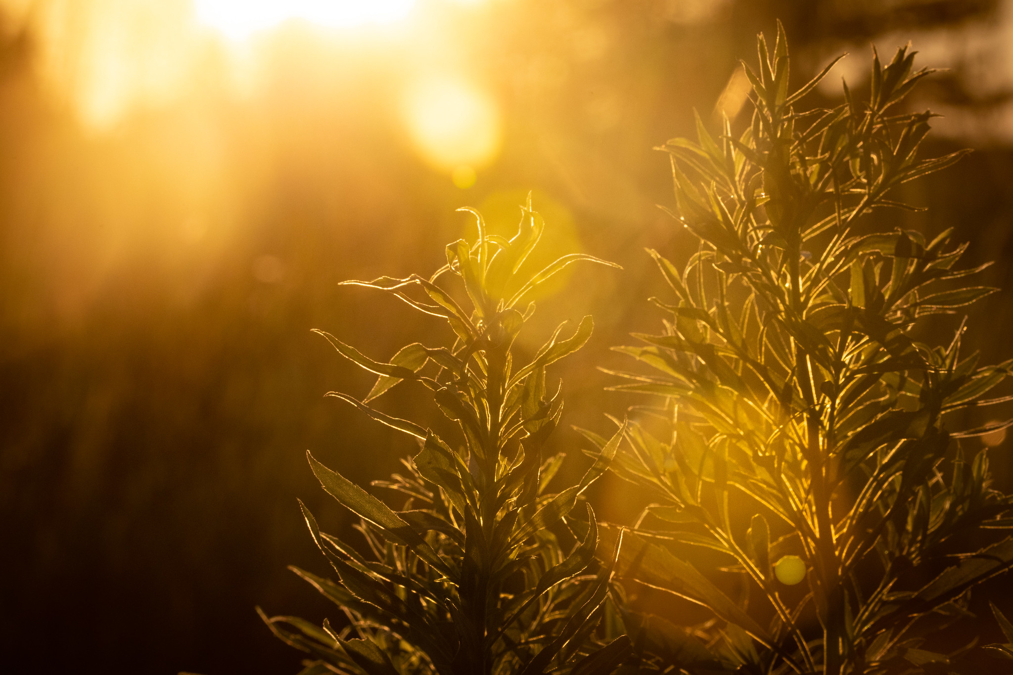 Científicos israelíes desarrollan producción de hidrógeno con energía solar