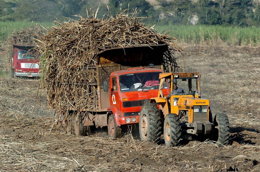 Cuba prueba primera bioeléctrica tras sincronizarla al sistema energético