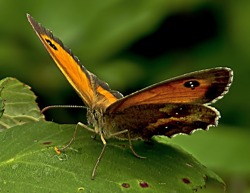 La preservación de la flora colombiana es el eje de este agroparque 