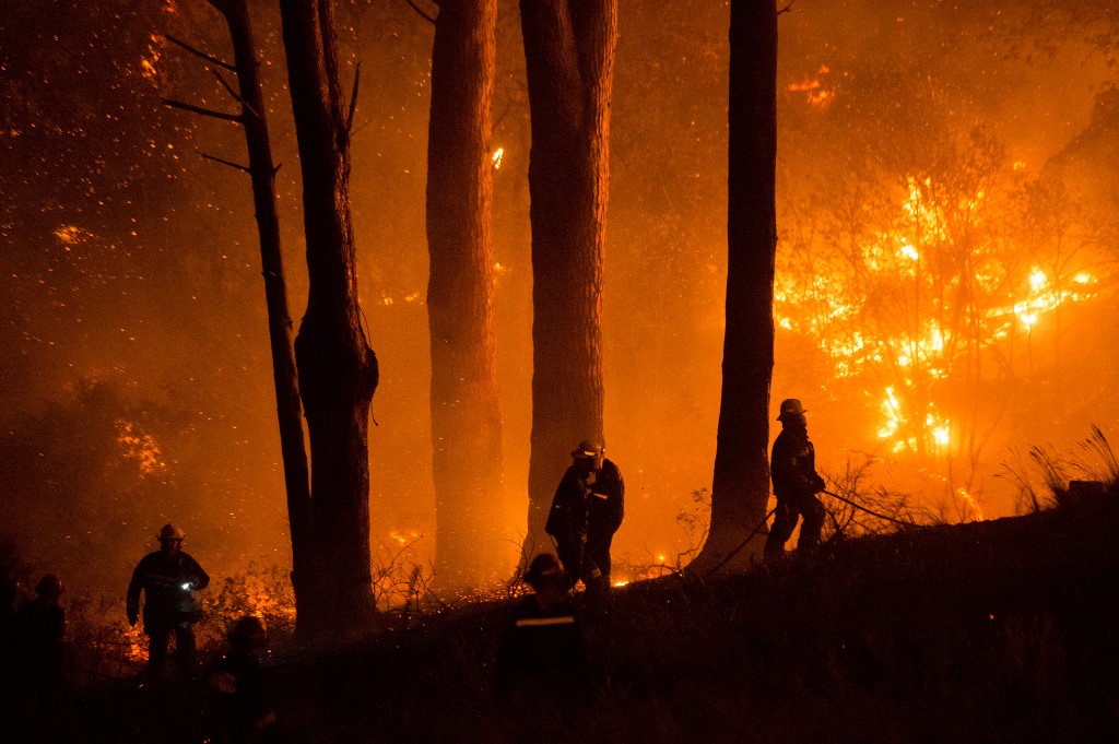 Incendio forestal originado en Brasil afecta área protegida boliviana