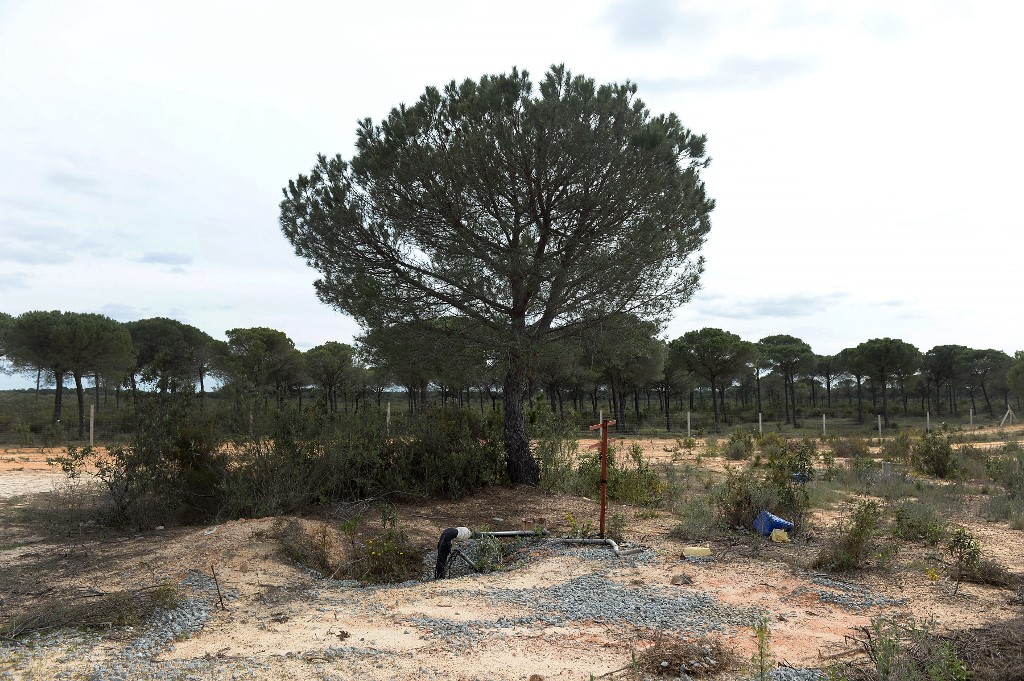 Una España cada vez más seca combate el robo de agua