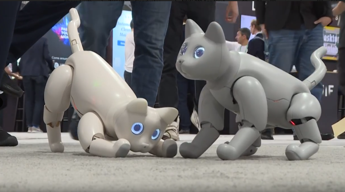 MarsCat, el gato robot que “robó corazones” en Las Vegas