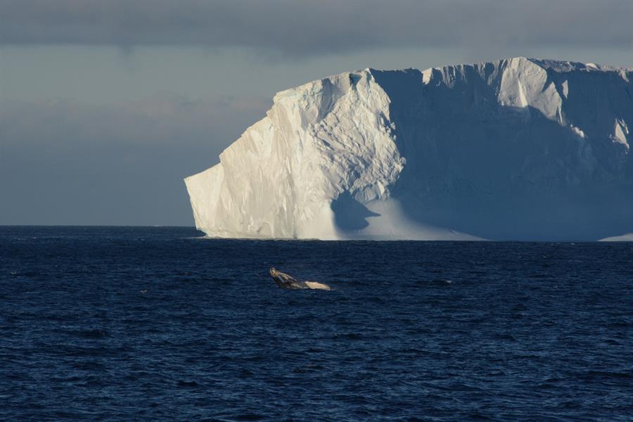 La Antártida y Groenlandia pierden hielo seis veces más rápido que en los 90