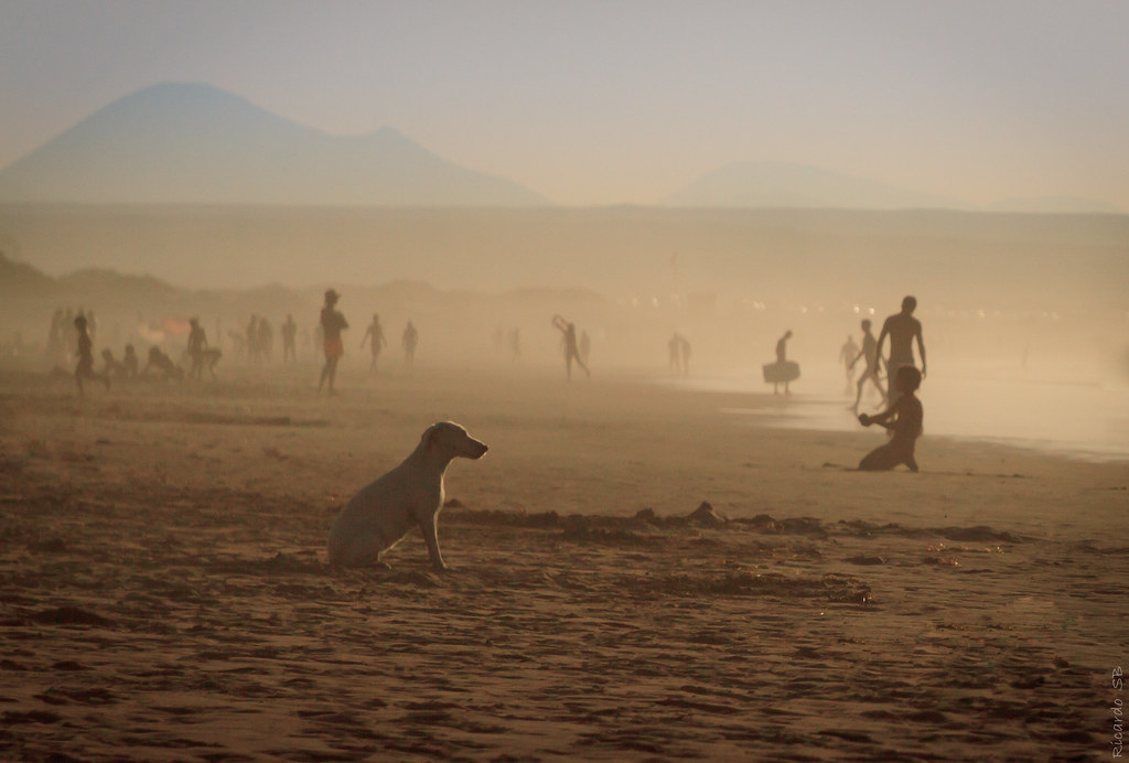 La mitad de la playas de arena podrían desaparecer este siglo