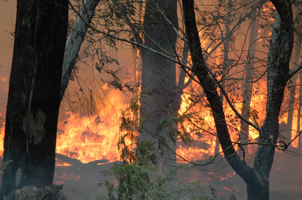 Australia desarrolla satélite para predecir zonas de peligro de incendios forestales